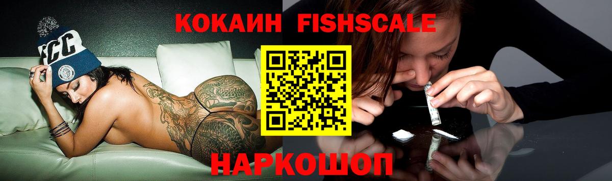COCAIN Fish Scale  Вход с VPN  Шадринск 