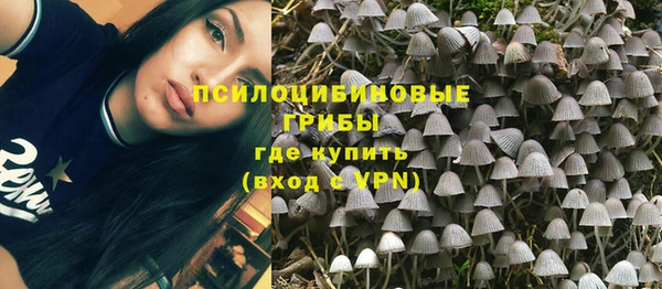 Альфа ПВП Лиски