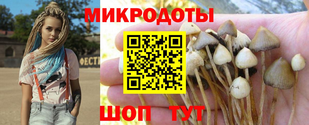 Галлюциногенные грибы MAGIC MUSHROOMS  Вход с VPN  Галлюциногенные грибы MAGIC MUSHROOMS  Шадринск 